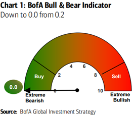 bull bear boa 202206